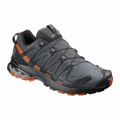 Férfi Salomon XA PRO 3D v8 GORE-TEX Terepfutó Cipő SA3098461 Sötét Kék/Fekete